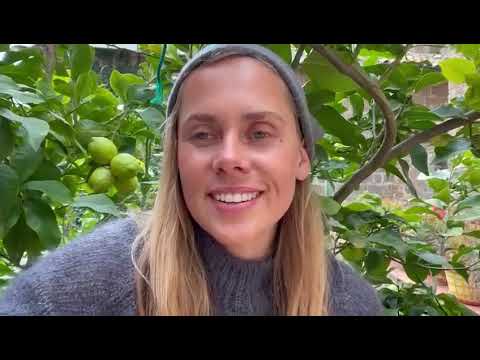 Jomante 's Story