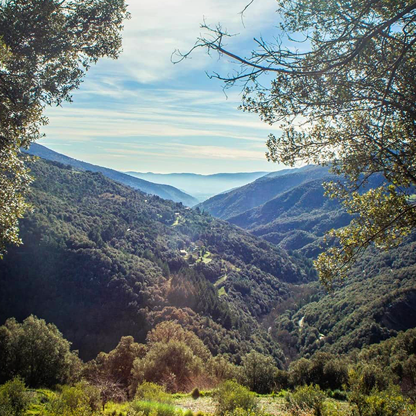 montseny valley view from Kalart rural coliving in Spain